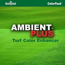 1 case Ambient Plus Turf Pigment