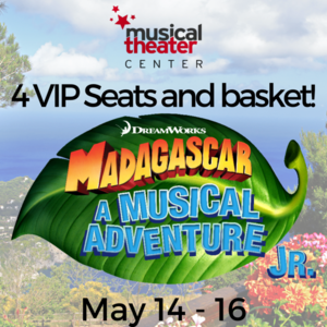 Madagascar VIP Basket