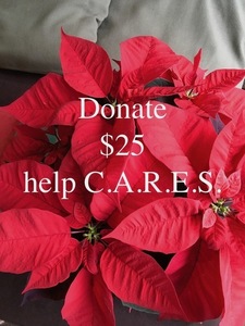 DONATE $25