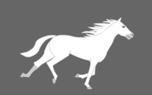 A Kid's Introduction to Horsemanship