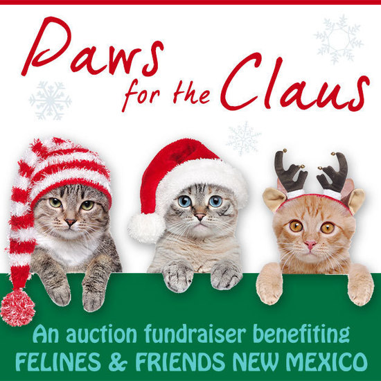 Felines & Friends NM