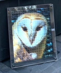 Howard Harris signed original art: white owl