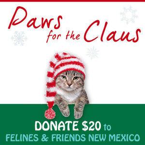 Donate $20 to Felines & Friends