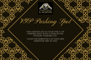 VIP STUDENT PARKING SPOT ( Only 3 Available )