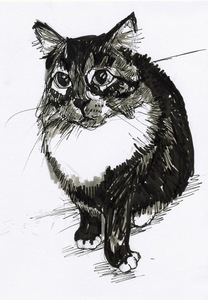 Custom ink and graphite pet portrait by Wendy Wolf