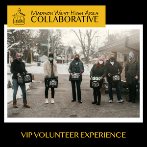 VIP Volunteer Experience