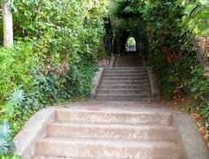 Tour: Berkeley’s Secret Stairways & Pathways