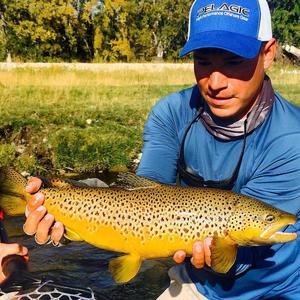 Bow River Guided Fly Fishing Trip