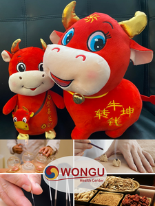 Plush Toys & Acupuncture Treatments