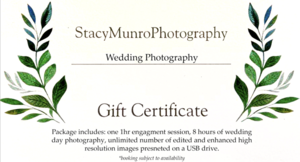 Item #169: Wedding Photography