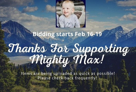 YYC Moving Mountains for Mighty Max Online Auction