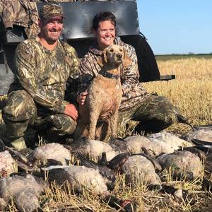 2 Day Goose Hunt in North Dakota