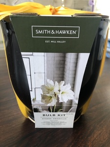 Smith and Hawken Athene Amaryllis Bulb Kit