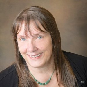 Laurie McLean Query Letter Critique