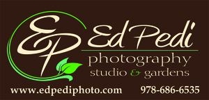 Sponsor: Ed Pedi Photography Studio & Gardens