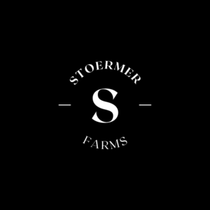 Steve Stoermer