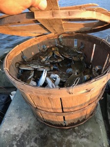 9. Maryland Eastern Shore Crabbing Trip