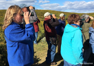 Private Bird Walk