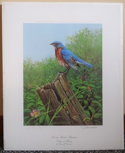 "On the Watch -- Bluebird" Songs of Spring