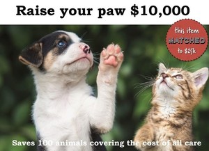 Raise Your Paw for $10,000