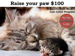 Raise Your Paw for $100