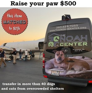 Raise Your Paw for $500.00