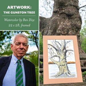 "The Gunston Tree" Framed Artwork