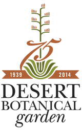 Desert Botanical Gardens