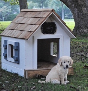 Dog House