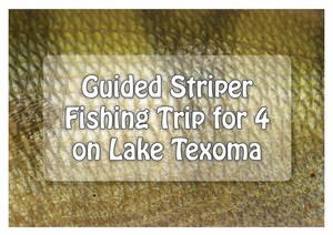 Guided Striper Fishing Trip