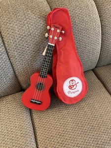 Ukulele with Carrying Bag