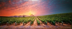 Cass Winery Guesthouse, Paso Robles