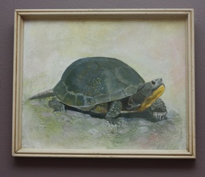 Original Painting of a Blanding's Turtle