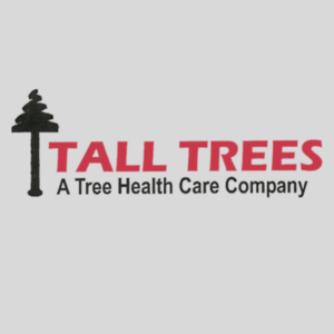 Tall Trees