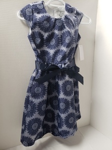 Lot 231 Girls Dress in blue