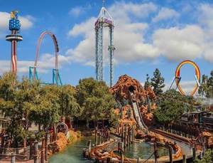 Knott's Berry Farm Basket