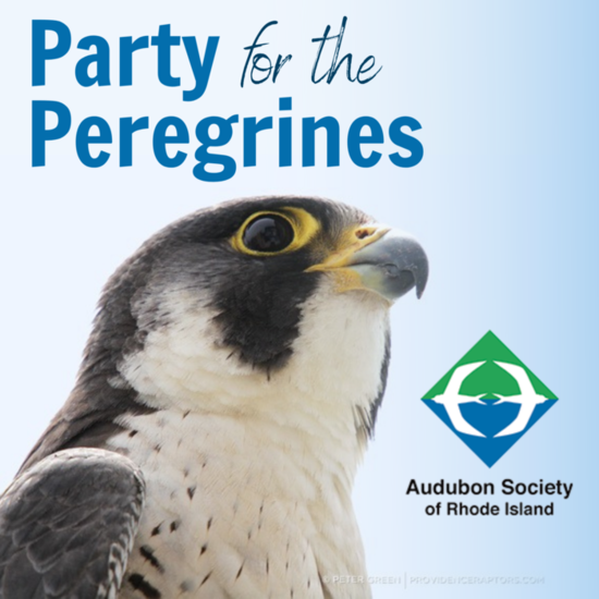 Audubon Society of Rhode Island