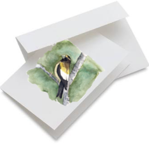 Birds of a Feather Greeting Cards - Set of Five