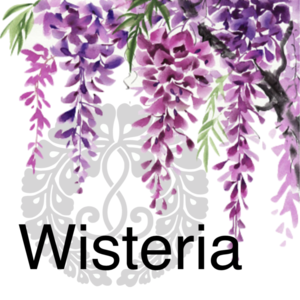 .OBON SPONSORSHIP: WISTERIA Level