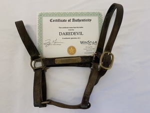 Daredevil Halter