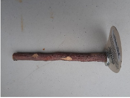 Tree Branch For Your Birds 6" x 3/8"