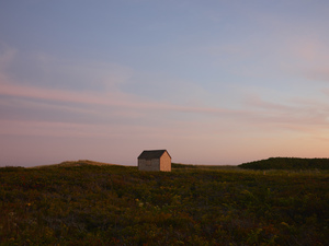 Home with Nathan Coe