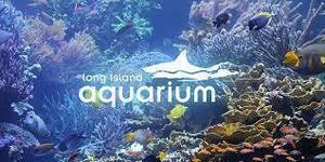 Family Fun at the Long Island Aquarium