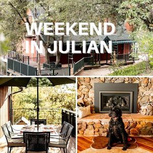 A Weekend in Julian with your dog