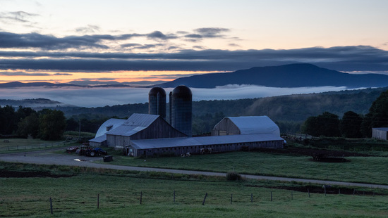 Center for an Agricultural Economy