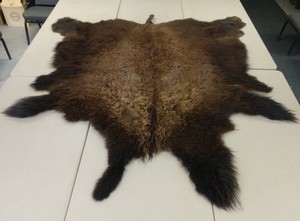 Buffalo Hide