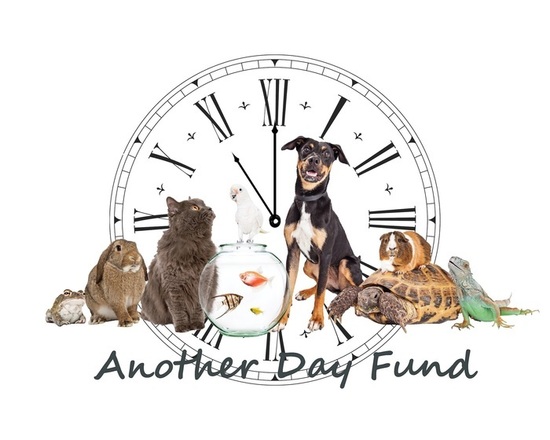 Another Day Pet Fund