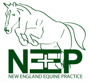 New England Equine Practice