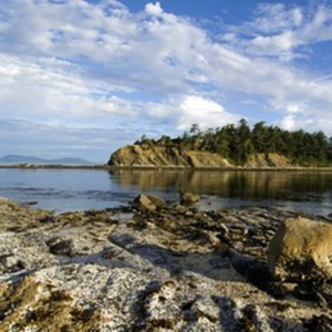 Boat Excursion and Geological Tour of Sucia Island