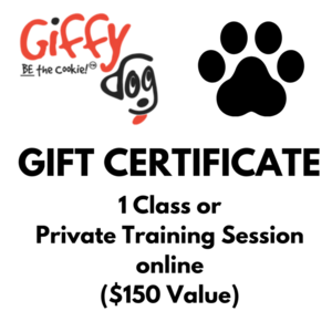 #096 Giffy Dog Training Gift Certificate